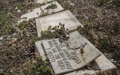 En el Cementerio del Este el robo de bronce “es una práctica diaria”